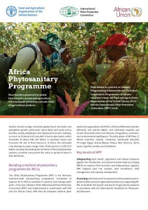 Africa Phytosanitary Programme (APP)