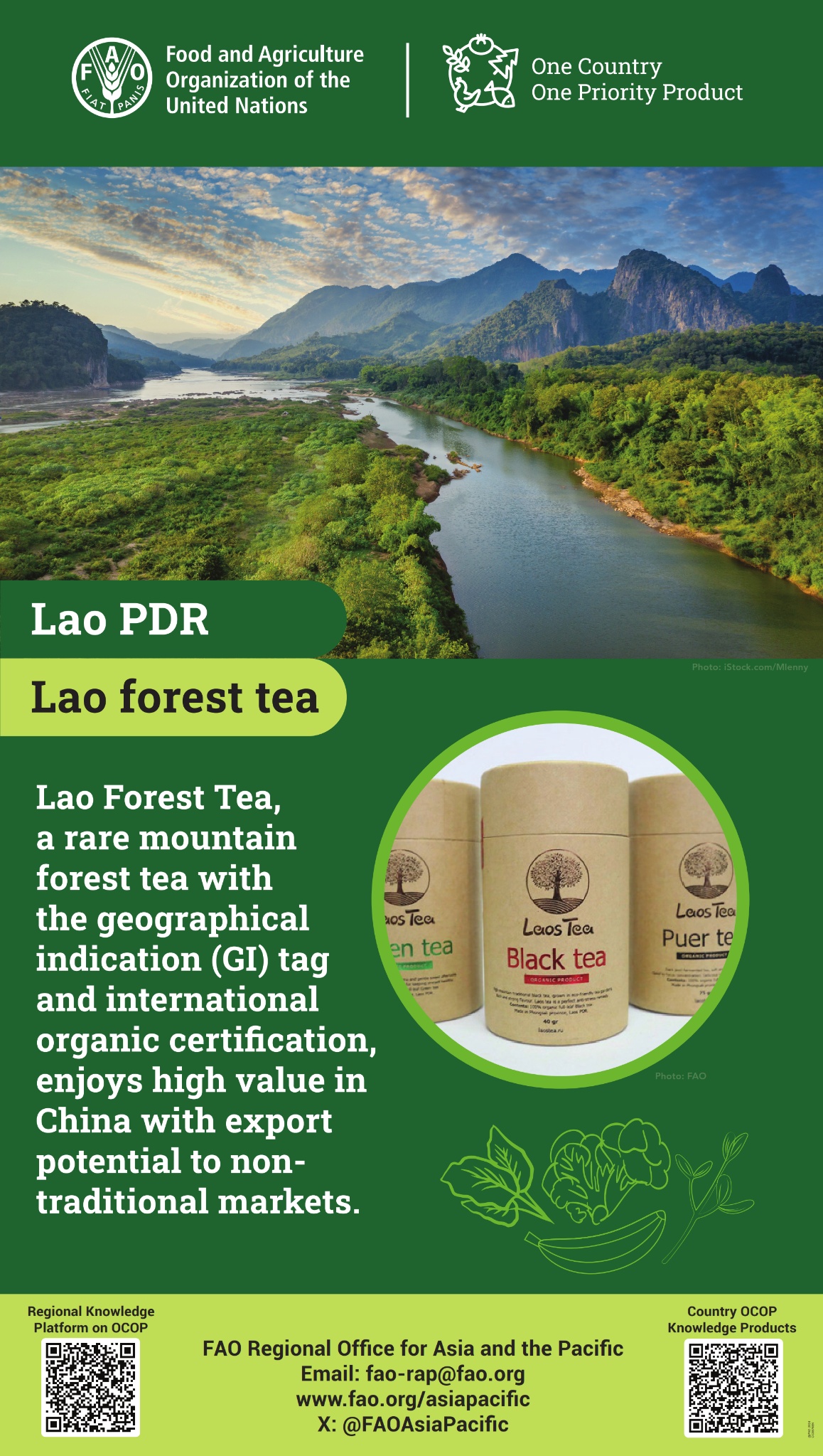 Lao People's Democratic Republic's nominated Special Agricultural Product for OCOP: Tea