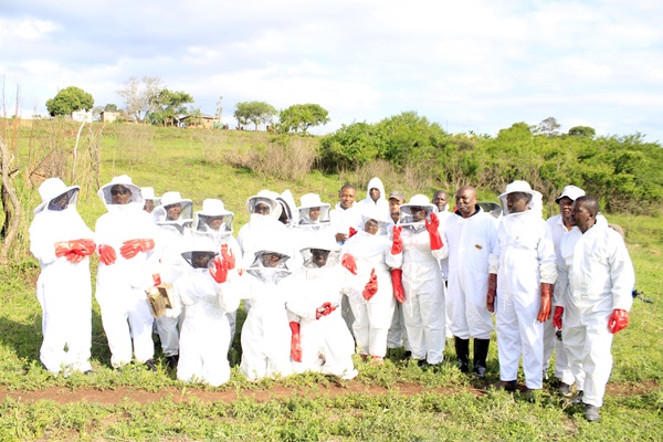 Extension officers from the Ministry of Agriculture engage with beekeepers during a practical field session in Siteki, demonstrating modern hive management techniques as part of FAO-supported training to strengthen sustainable apiculture in Eswatini.