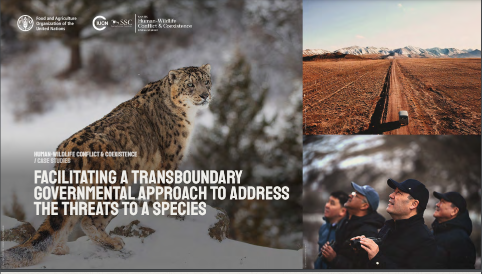 Facilitating a transboundary governmental approach to address threats to a species