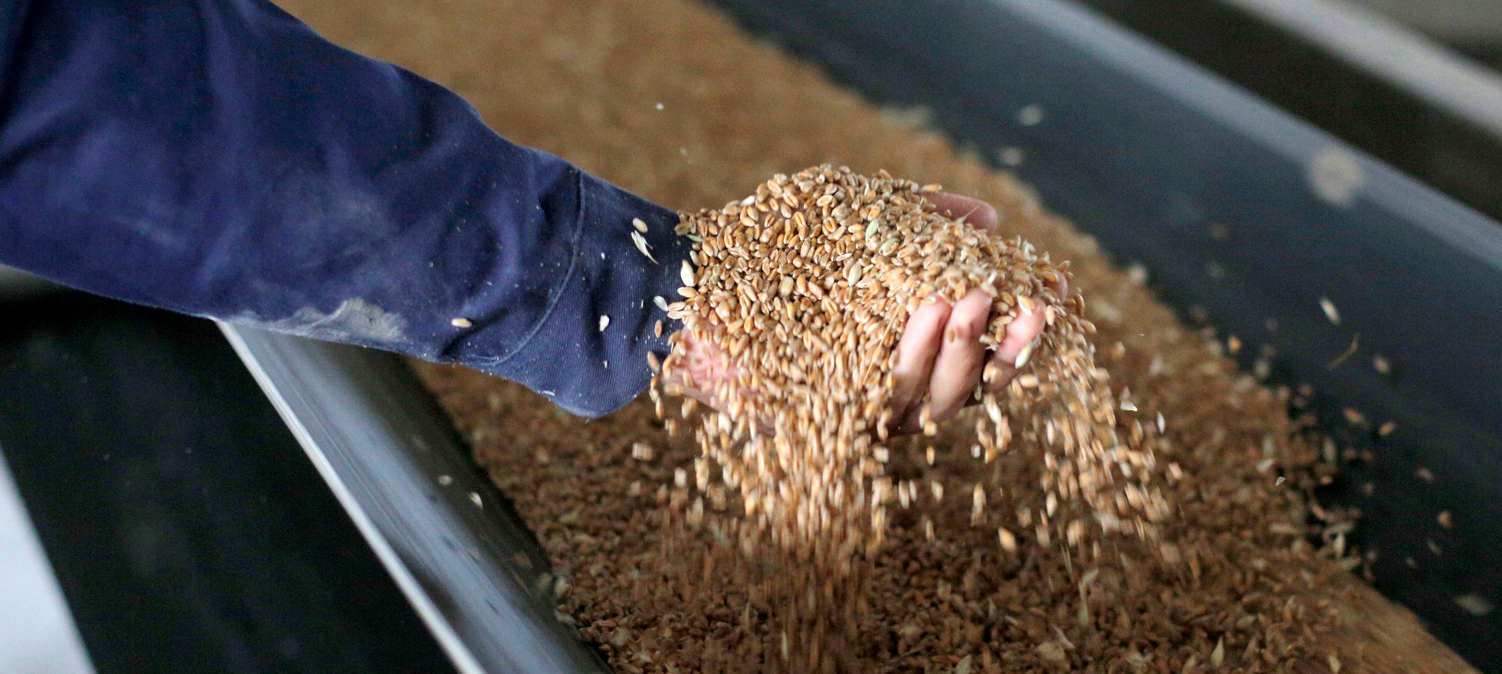 ©FAO/Anatolii Stepanov