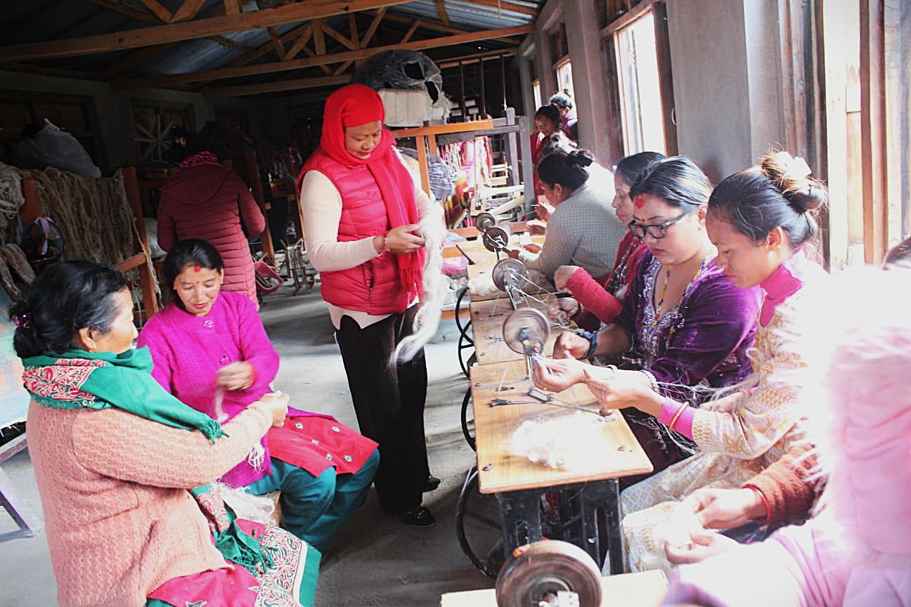 Revitalized allo enterprise empowers women in Nepal