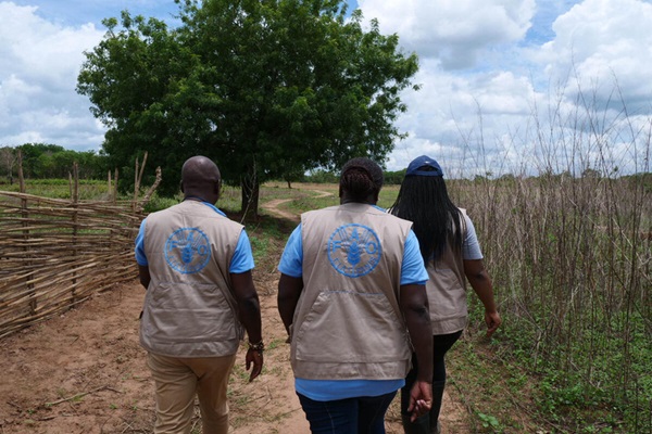 Audit and Investigations