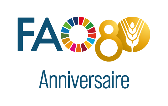 UF19B06 FAO80_Logo blue_V1_Anniversary_FR