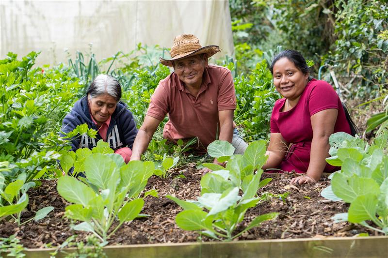 What the Year aims to achieve