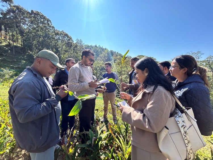 Young professionals carry cardamom success from East to West Nepal